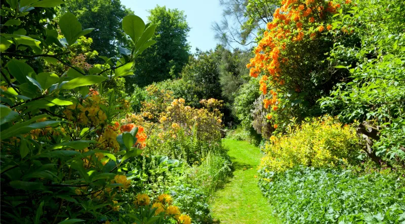 Jardin à l'anglaise