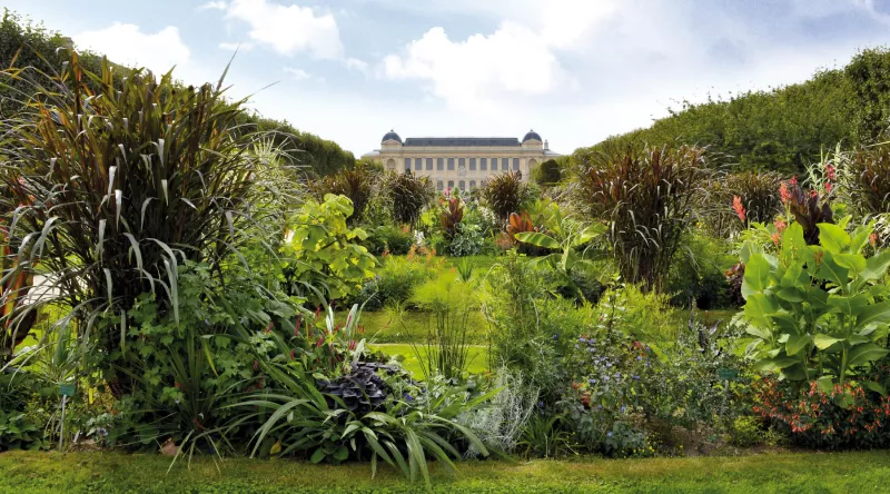 Perspective du Jardin des Plantes avec la Grande Galerie de l'Évolution