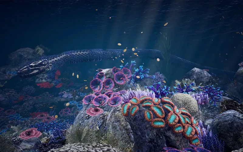 Vue sous marine avec de la faune et de la flore variée.