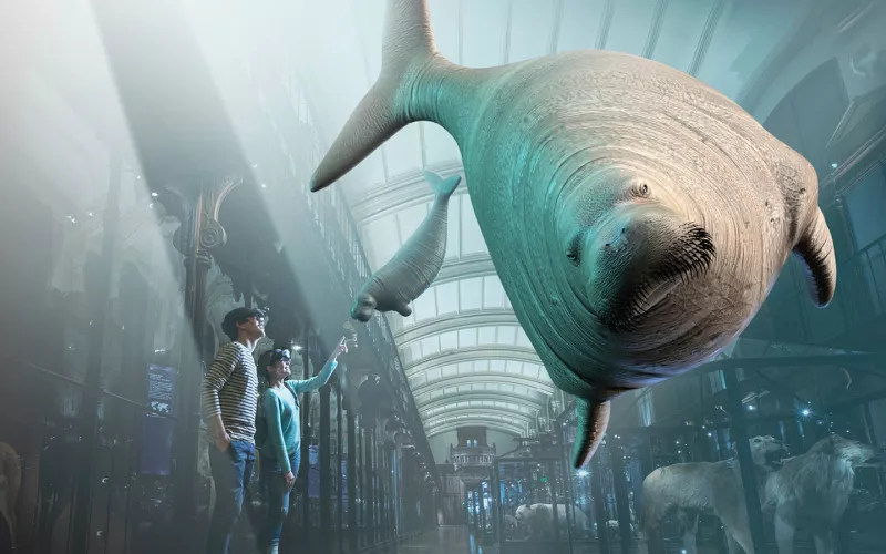 Visuel montrant deux personnes avec un casque regardant un lamantin en réalité augmentée